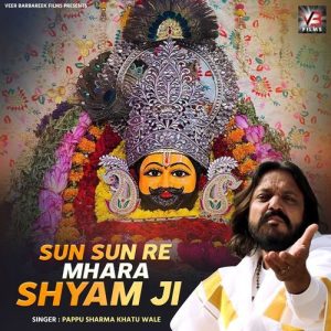 Sun Sun Re Mhara Shyam Ji Album Art