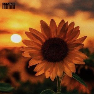 Sunflower Album Art