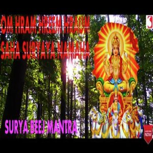 Surya Beej Mantra Album Art