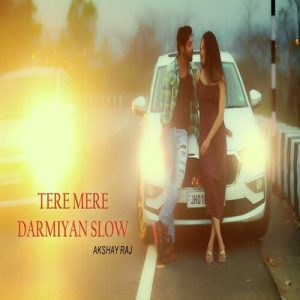 TERE MERE DARMIYAN SLOW Album Art