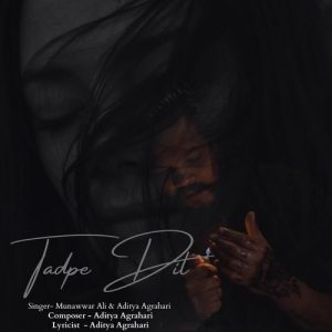 Tadpe Dil Album Art