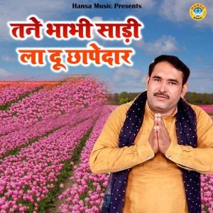 Tane Bhabhi Sadi La Du Chaapedaar Album Art