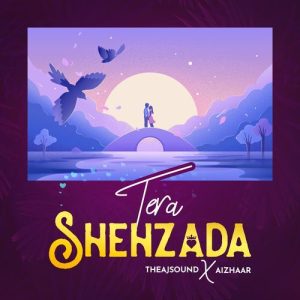 Tera Shehzada Album Art