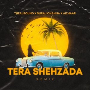 Tera Shehzada (Remix) Album Art