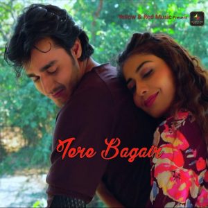 Tere Bagair