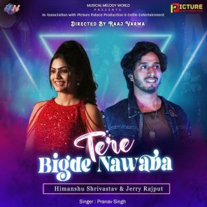 Tere Bigde Nawaba (feat. Himanshu Shrivastav & Jerry Rajput)