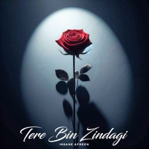 Tere Bin Zindagi