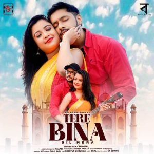 Tere Bina Dil Mera Album Art