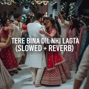 Tere Bina Dil Nhi Lagta (Slowed + Reverb)