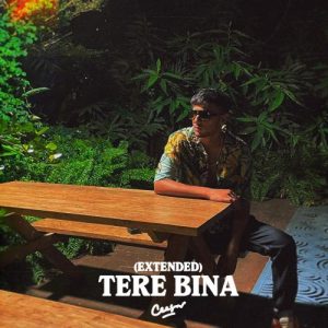 Tere Bina (Extended Version) Album Art