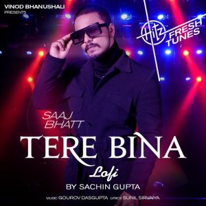 Tere Bina (Lo-Fi) Album Art