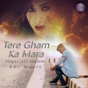 Tere Gham Ka Mara