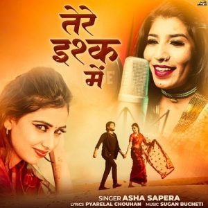 Tere Ishq Mai