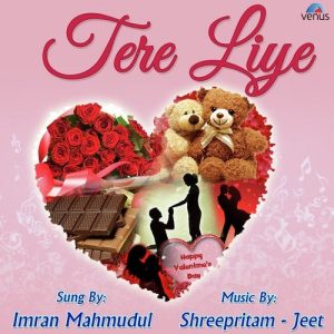 Tere Liye