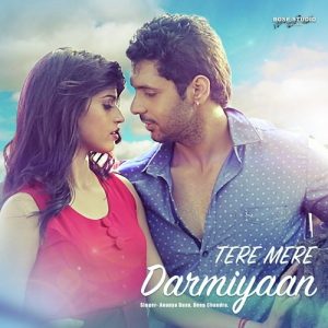 Tere Mere Darmiyaan Album Art