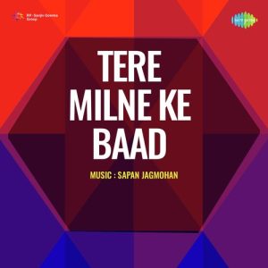 Tere Milne Ke Baad