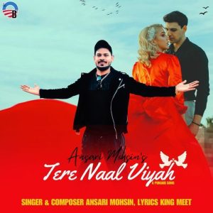 Tere Naal Viyah Album Art