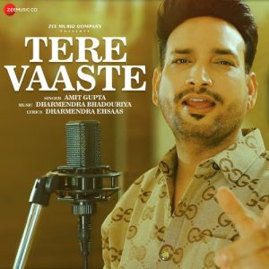 Tere Vaaste Album Art