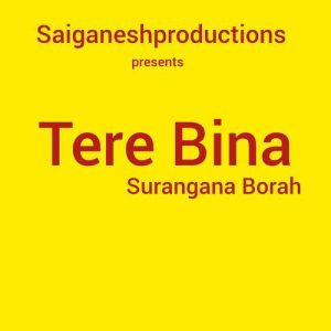 Tere bina Album Art