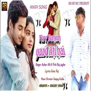 Teri Batein Yaad Ati Hai Album Art
