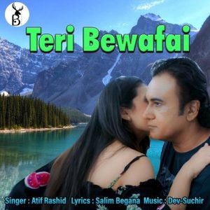 Teri Bewafai Album Art