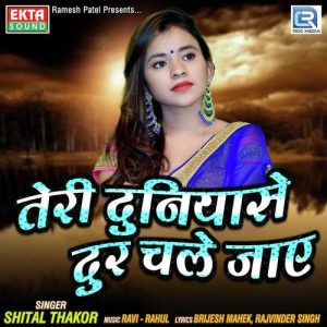 Teri Duniyase Dur Chale Jaaye Album Art