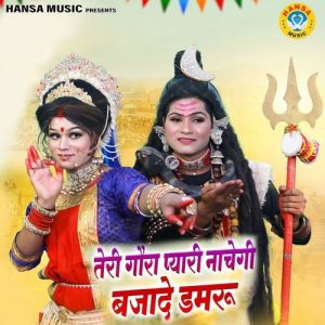Teri Gaura Pyari Nachegi Bajade Damru Album Art