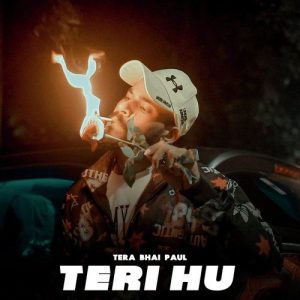 Teri Hu Album Art