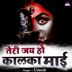 Teri Jai Ho Kalka Mai Album Art
