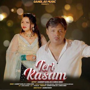 Teri Kasam Album Art