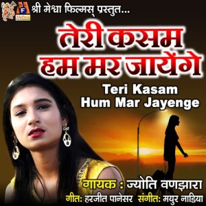 Teri Kasam Hum Mar Jayenge Album Art
