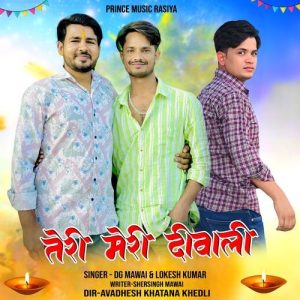 Teri Meri Diwali Album Art