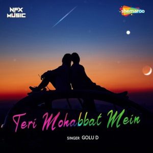Teri Mohabbat Mein Album Art