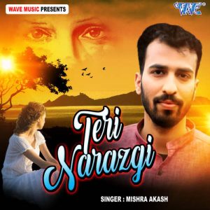 Teri Narazgi Album Art