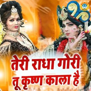 Teri Radha Gori Tu Krishan Kala Hai Album Art