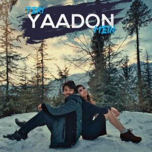 Teri Yaadon Mein Album Art