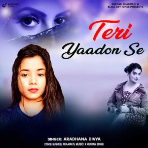 Teri Yaadon Se Album Art