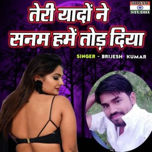 Teri Yadon Ne Sanam Hamain Tod Diya Album Art