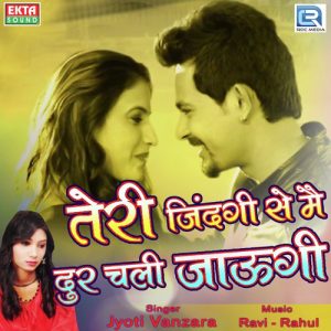 Teri Zindagi Se Main Dur Chali Jaungi Album Art