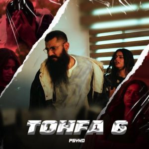 Tohfa 6 (The Beginning) Album Art