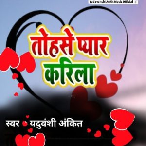 Tohse Pyar Karila Album Art