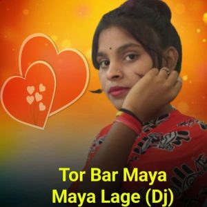 Tor Bar Maya Maya Lage (Dj)