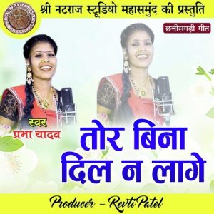 Tor Bina Dil Na Lage