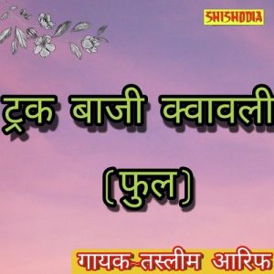 Truck Baji Quawwali Full Album Art
