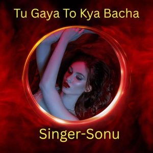 Tu Gaya To Kya Bacha Album Art