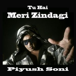 Tu Hai Meri Zindagi Album Art