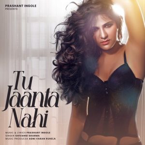 Tu Jaanta Nahi Album Art