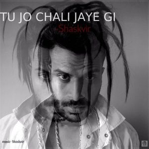 Tu Jo Chali Jaye Gi Album Art