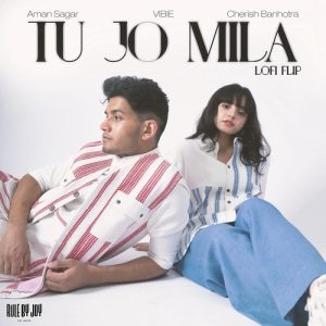 Tu Jo Mila (Lofi Flip)