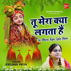 Tu Mera Kya Lgta Hain Album Art